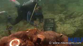 Researchers treat battered coral reefs diseased by South Florida's heat wave