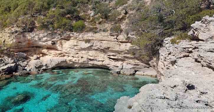 Baunei, 28enne muore travolta da un albero caduto sul litorale. La spiaggia era vietata ai bagnanti