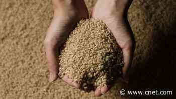 Olive Oil, Brown Rice and Other Foods that Spoil Faster Than You'd Think     - CNET