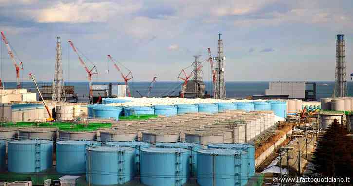 La scelta su Fukushima per me è una vergogna: in un ambiente già ai limiti della sopravvivenza