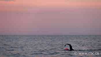 After Ironman athlete deaths, officials dispute whether safety warning came before or after swim