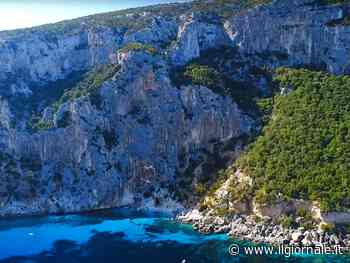 Muore travolta da un albero in spiaggia in Sardegna: 28enne era in una zona vietata