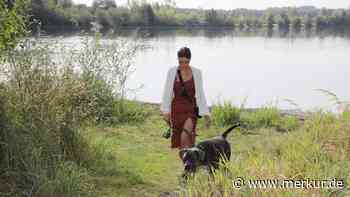 Unerwünschte Badegäste: Für Vierbeiner im Landkreis Freising herrschen im Sommer wahre Hundstage