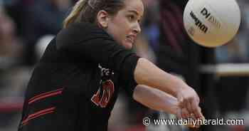 Girls volleyball: Scouting DuPage County