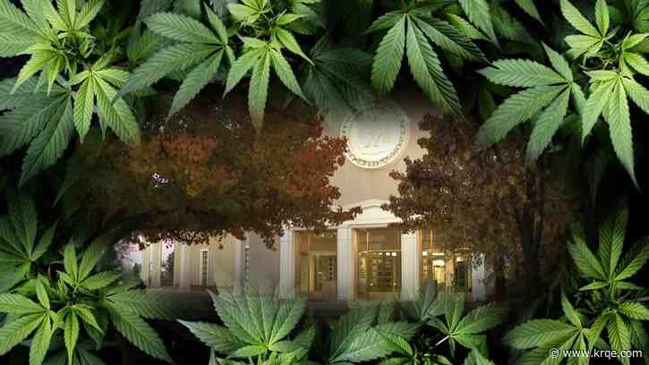 New Mexico cannabis regulators call on lawmakers to fix issues