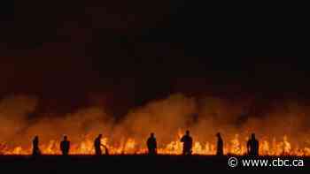 Rojek, a documentary about jailed ISIS fighters, is Canada's entry for 2024 Oscars