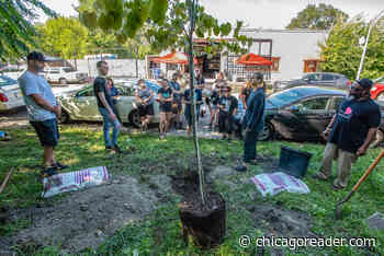 Dan Bigg’s legacy of positive change