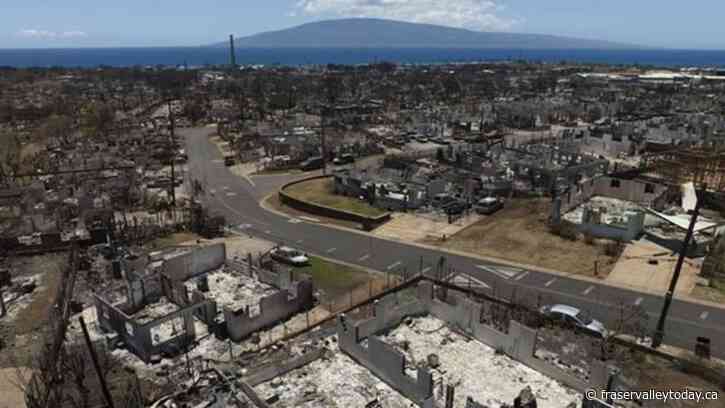 Maui County sues utility, alleging negligence over fires that ravaged Lahaina