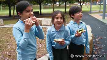 Risk of scurvy, rickets rising amid food affordability crisis, researchers warn