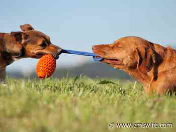 The Future of Contact Centers: Leveraging Generative AI to Optimize Customer Care