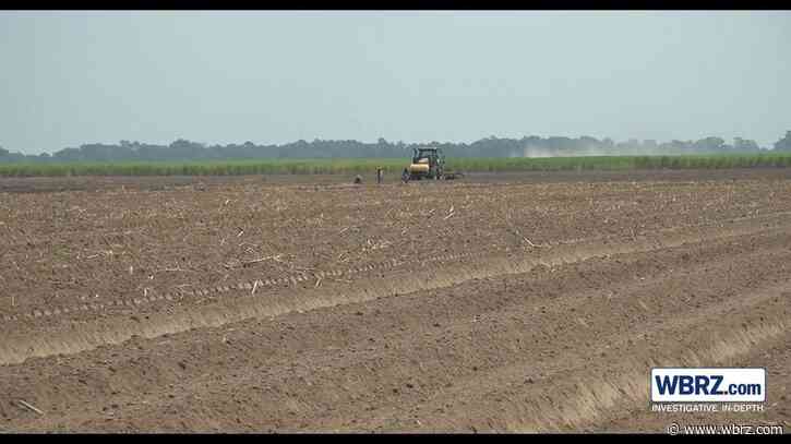 Statewide burn ban exempts farmers, but the dry summer still poses a threat