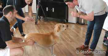 Apple and MKBHD showcase company using iPhone LiDAR to help create pet prosthetics