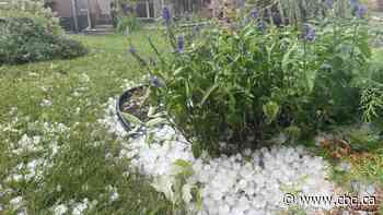 Severe thunderstorm warnings in effect for parts of southern Manitoba
