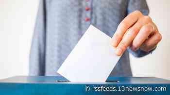 Want to work the polls for Virginia's November elections? Here's how to sign up.