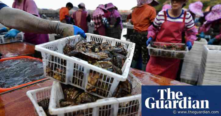 Fukushima: China accused of hypocrisy over its own release of wastewater from nuclear plants