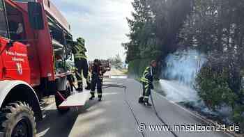 Lkw-Fahrer zündet aus Versehen Hecke in Maitenbeth an und reagiert dann goldrichtig