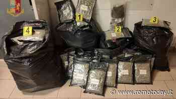 Corriere della droga: fermato con 63 chili di marijuana nei sacchi da giardino