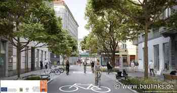 Mehr Bäume für coole Straßen und Städte – wie Wien auf urbane Hitzeinseln reagiert