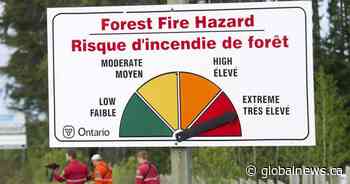 ‘We are sick of it’: Ontario forest firefighters burning out as concerns grow