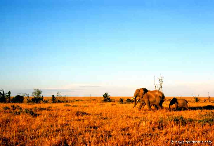 Touristen benötigen für Einreise nach Kenia zukünftig Visum