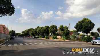 Mancata pulizia erbacce da marciapiedi - Municipio X - Acilia