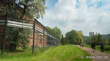 Epcor tackles flooding mitigation as climate change challenges Edmonton's water supply