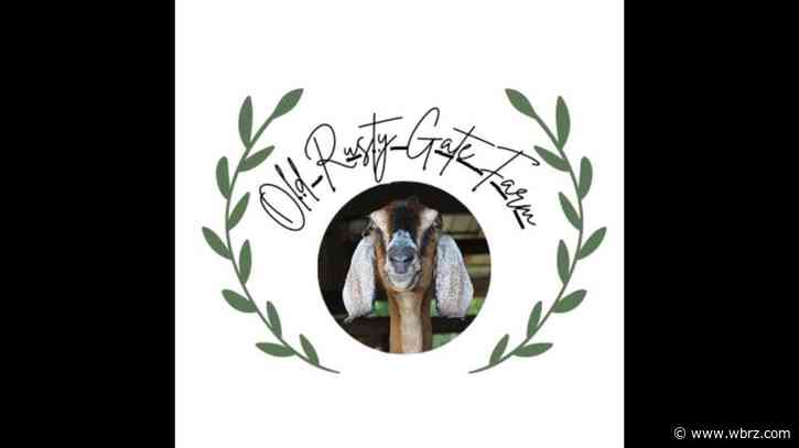 GET TO MOVING: Goat yoga!