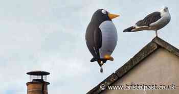 Lovable penguin hot air balloons spotted in skies above South Bristol