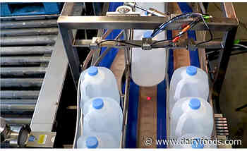 Equipment suppliers highlight the latest solutions in conveyors and palletizers