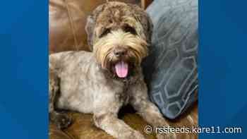 K-9 of fallen Wisconsin officer starts new job at school in Wautoma