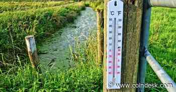 Celsius Token Holders Lose Bid to Hike CEL Valuation