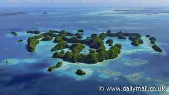 Is nature adapting to climate change? Underwater coral reefs in the Pacific that were predicted to vanish by 2050 show 'historic increase' in climate resistance