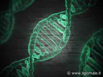Dna, per la prima volta ecco la sequenza completa del cromosoma Y