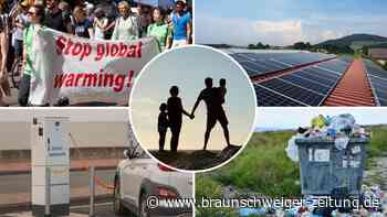 Auf dem Weg zum eigenen Kompost