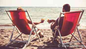 Weinschorle in der Flasche: Schlükk, Kickstarter, Starthilfe, Schorlefranz im Vergleich