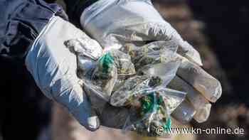 Polizei entdeckt 106 Kilo Marihuana in LKW: Elf Festnahmen