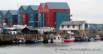 Council agree to rent out patch of land in Amble for family to extend garden