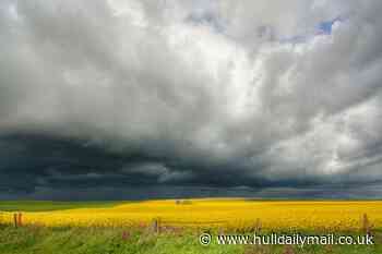 Best time to go out over bank holiday weekend as more thunderstorms forecast for Hull and East Yorkshire