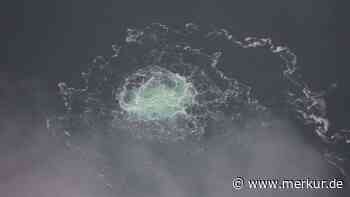 Neue Nord-Stream-Erkenntnis sickert durch: Fluchtroute führt offenbar in Ukraine