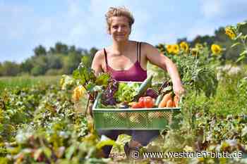 Solidarische Landwirtschaft: Finnenberghof in Nörde sucht Anteilseigner