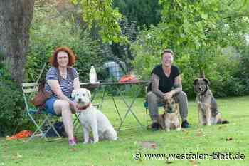 Hund mit Berufsausbildung: Supernase Milo aus Wehrden erschnüffelt Eremiten im Wald
