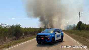 Authorities battling large grass fire in Livingston Parish
