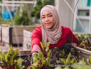 Local award-winning filmmaker's latest Food is my Teacher premieres Friday