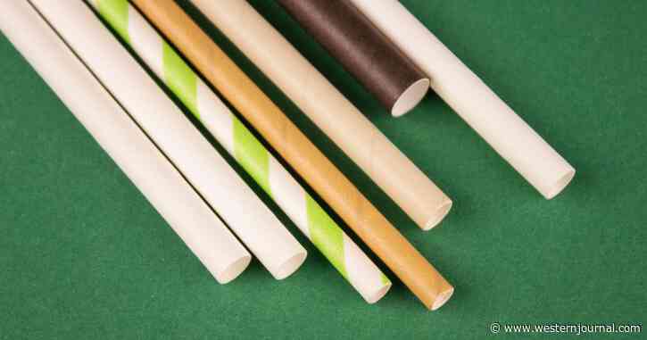 Researchers Looked Closely at 'Eco-Friendly' Paper Straws and Made a Disturbing Discovery - Don't Put These in Your Drink