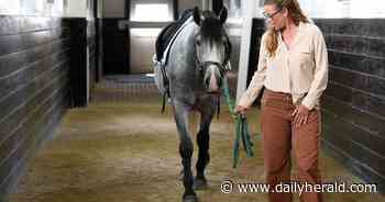 Tempel Lipizzans ending 65-year run