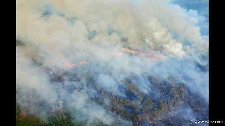 Man suspected of sparking wildfire in Amite on Thursday arrested by state agents