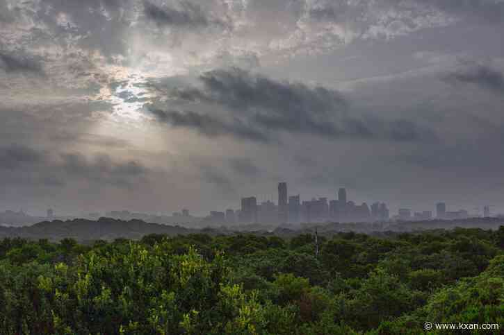 How cool are trees? Austin tree canopy is growing