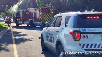 91-year-old woman killed in crash with vehicle