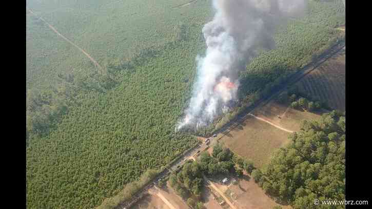 More wildfires burning in Tangipahoa Parish, mostly contained