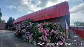 HALF Fish responds following closure of Daisyfield Pools